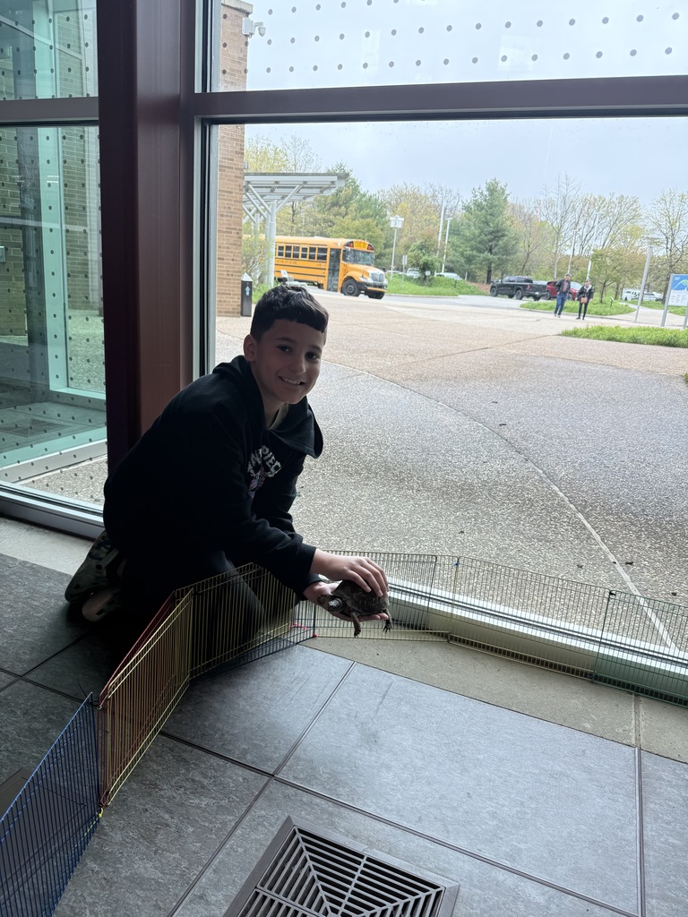 Student holding turtle