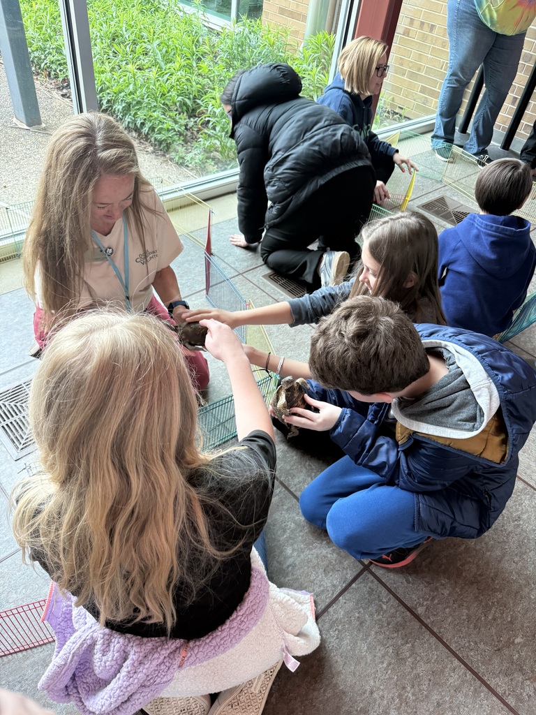 Two students petting a turtle held by adult as another student holds turtle 