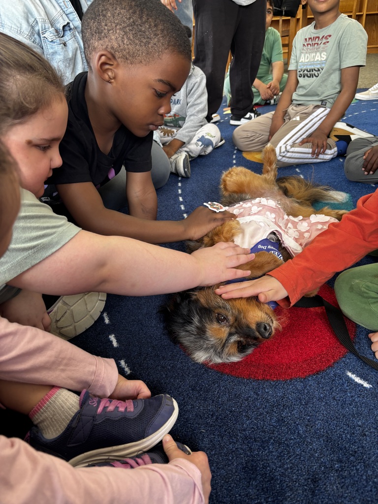 students interacting with therapy dog 