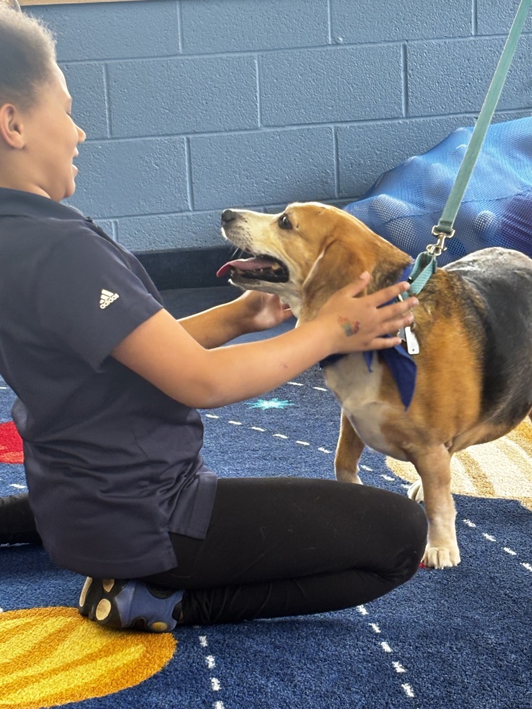 students interacting with therapy dogs