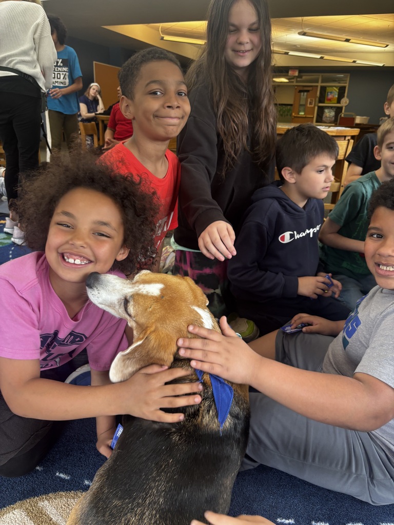 students interacting with therapy dogs