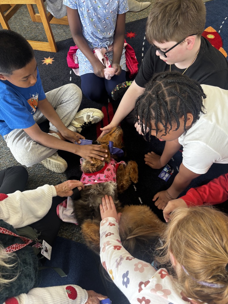 students interacting with therapy dogs