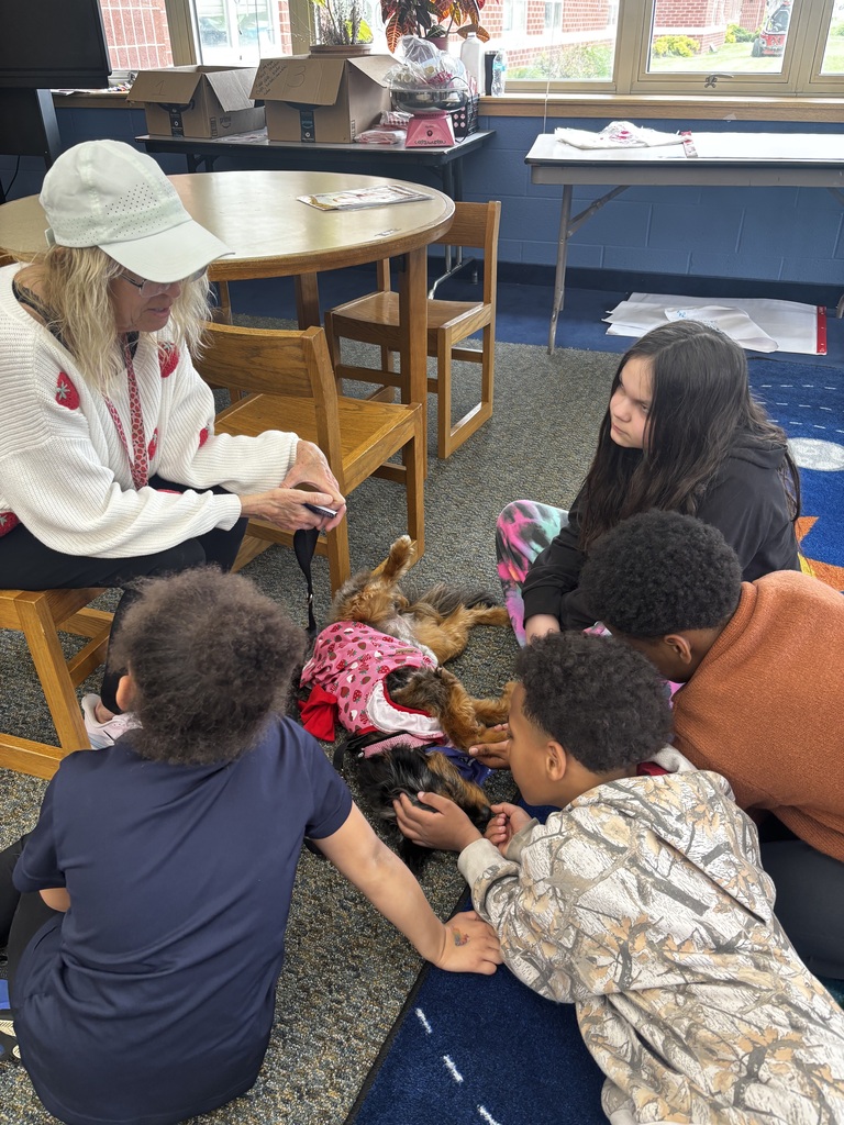 students interacting with therapy dogs