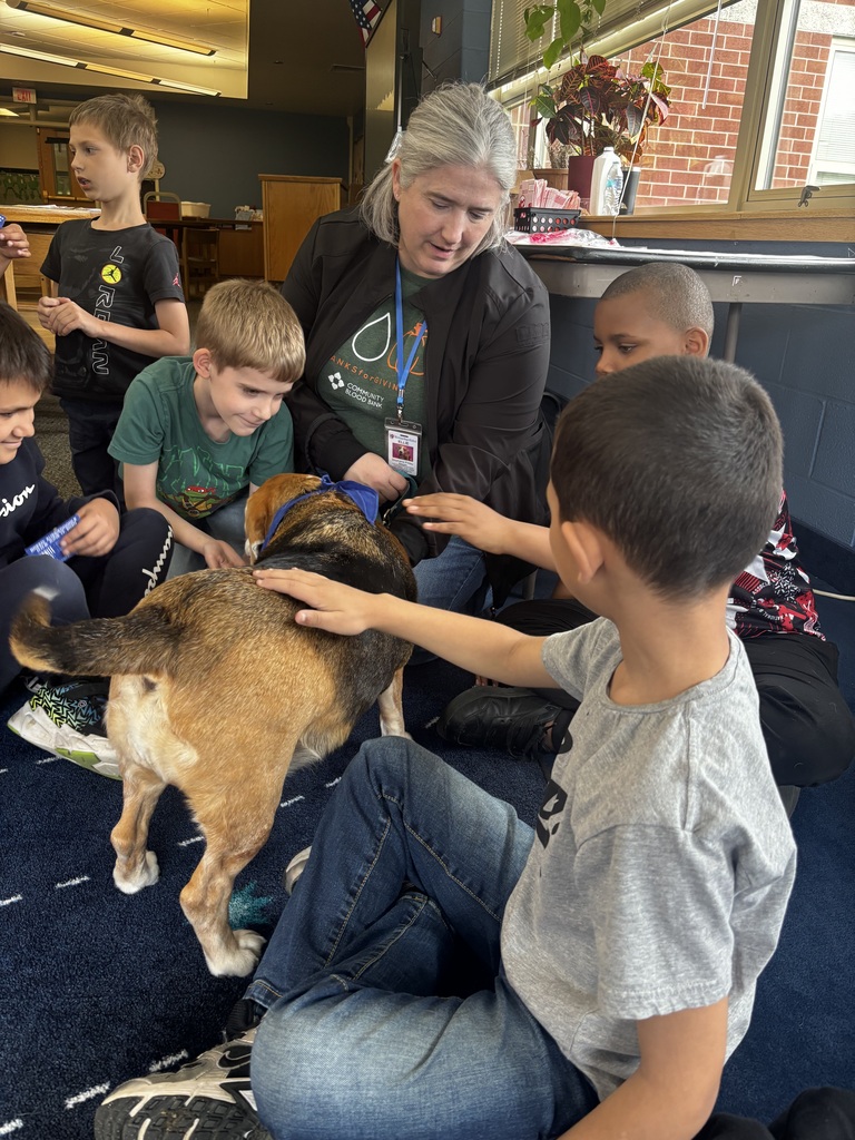 students interacting with therapy dogs