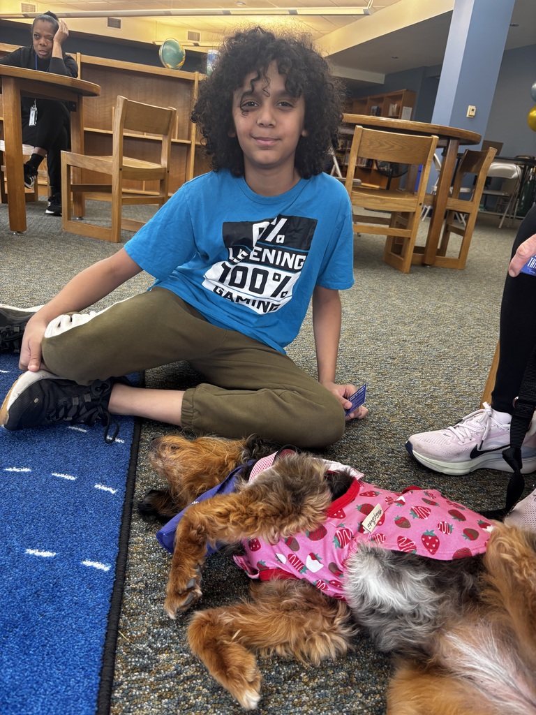 students interacting with therapy dogs