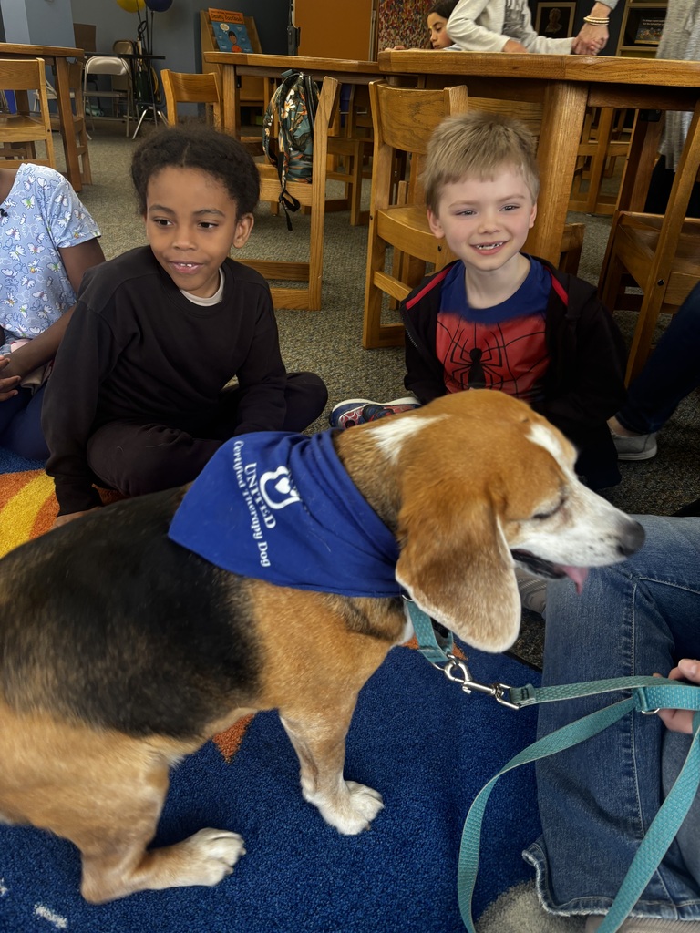 students interacting with therapy dogs