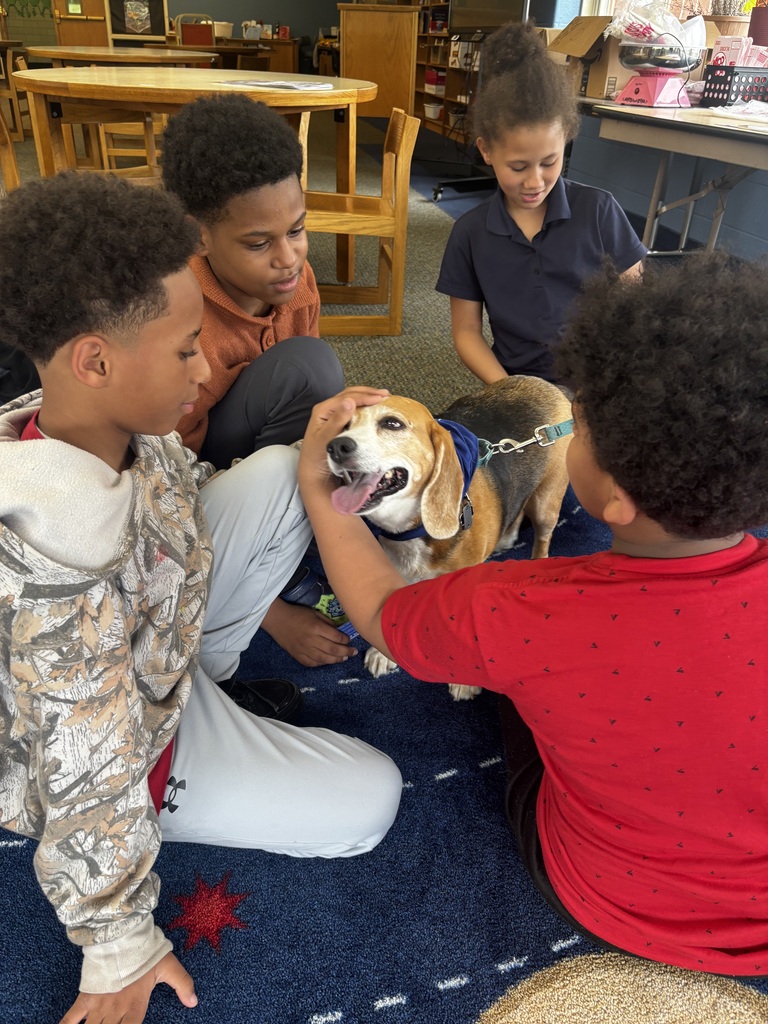 students interacting with therapy dogs