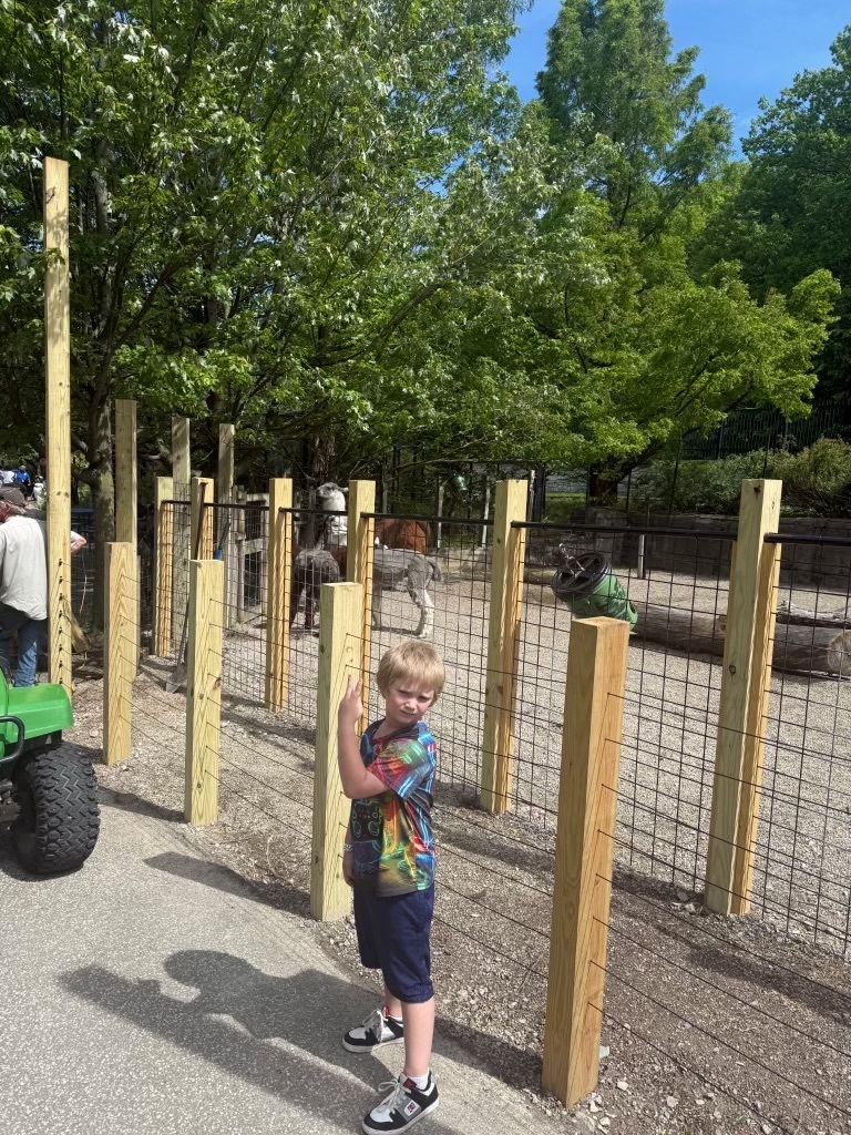 Student in front of the llamas.
