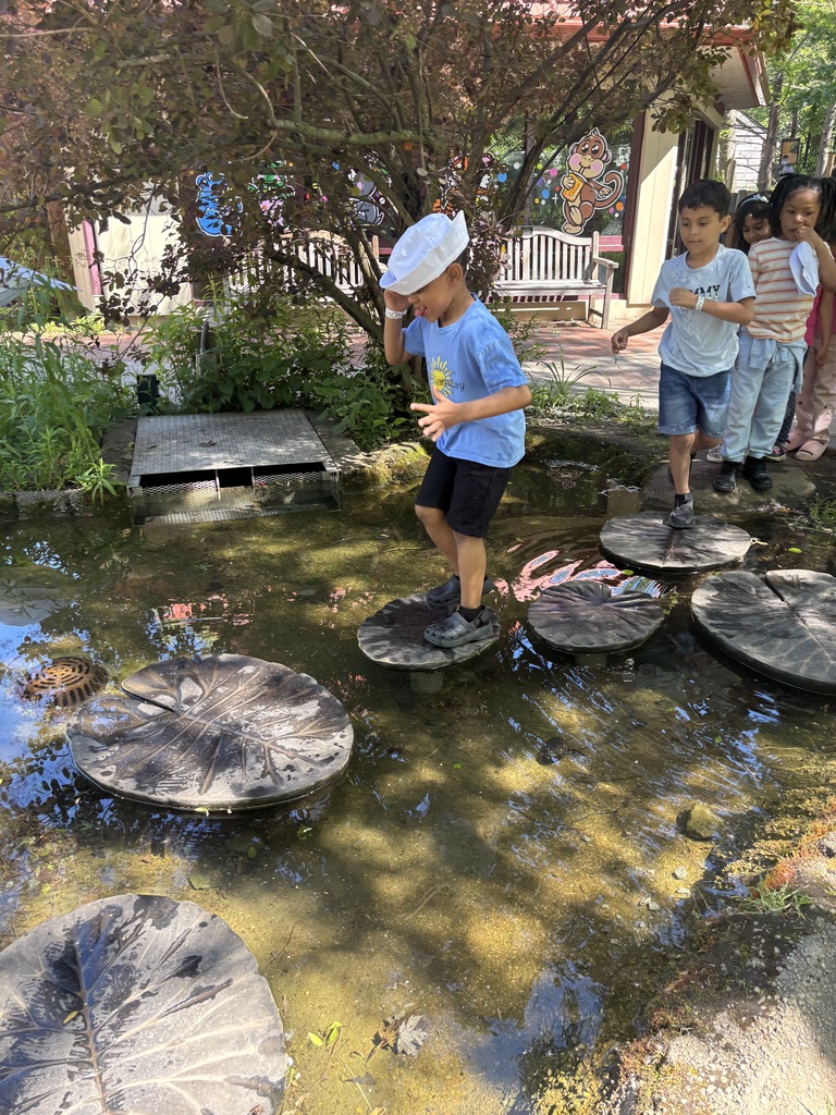 Students crossing the lillypad pond at the zoo.