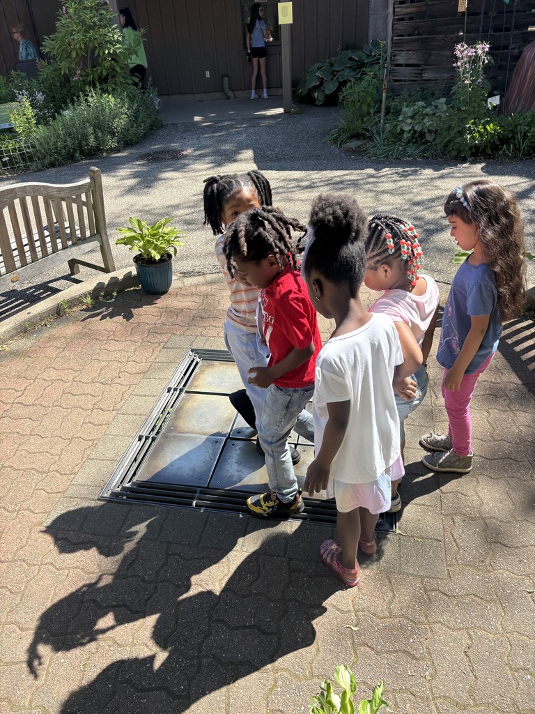 Students playing on musical chime squares at the zoo.