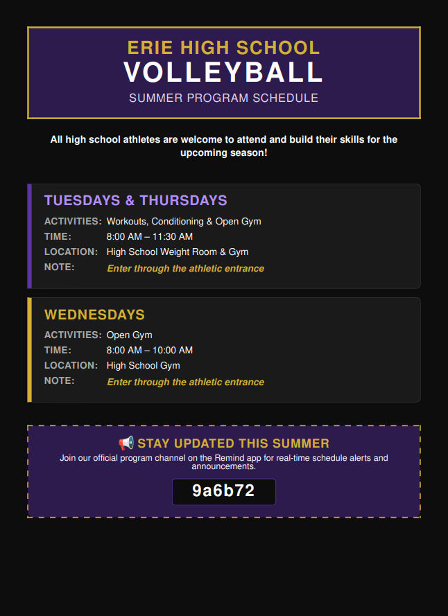 Volleyball Summer Schedule Flyer. 