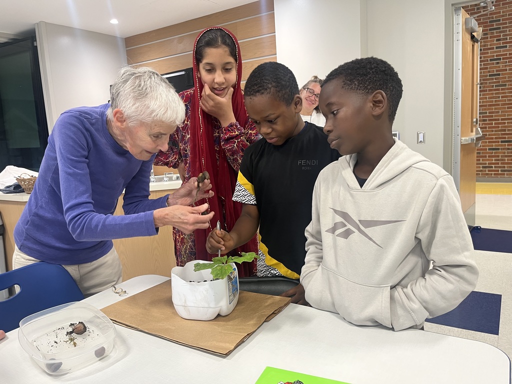 Students and volunteer looking at a plant.