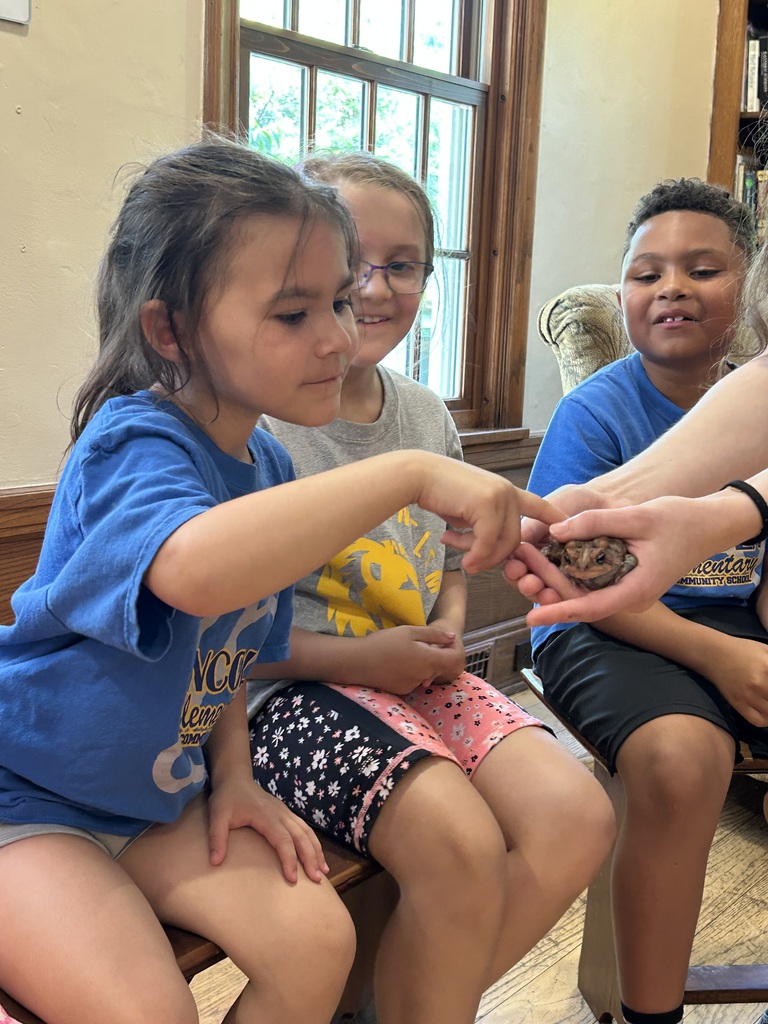 Students touching a frog.