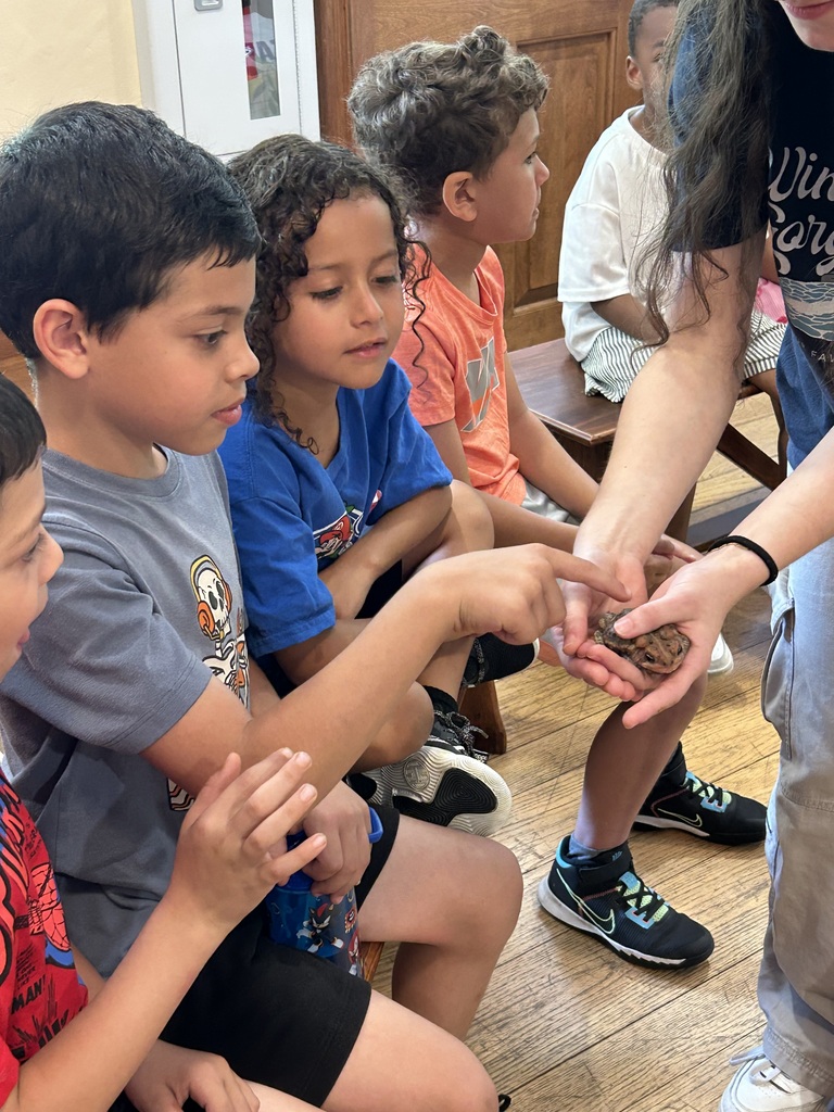 Students touching a frog.