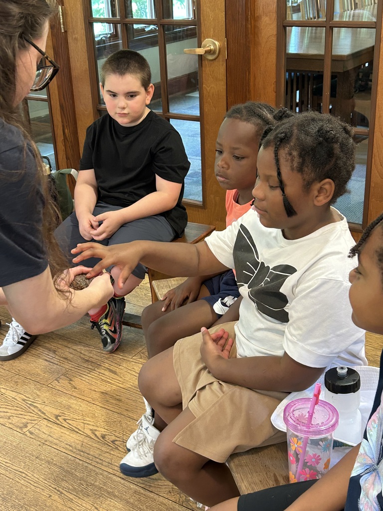 Students touching a frog.