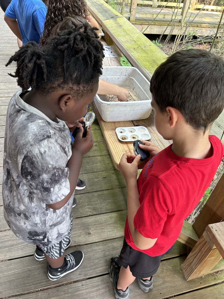 Students looking at water samples.