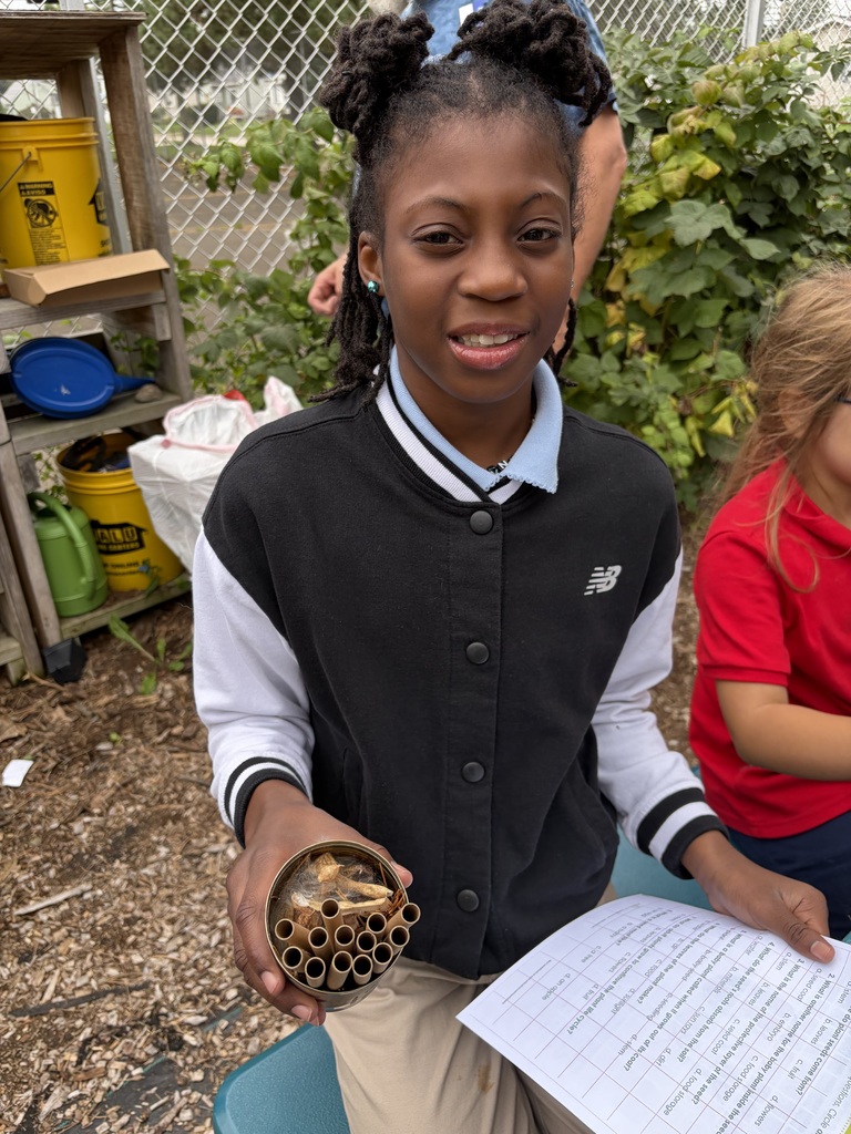 Student holding a solitary bee home.