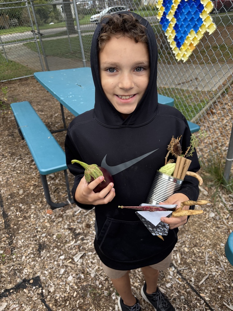 Student holding a solitary bee home.
