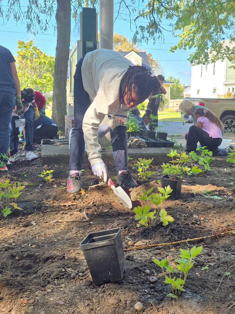 Students planting a garden