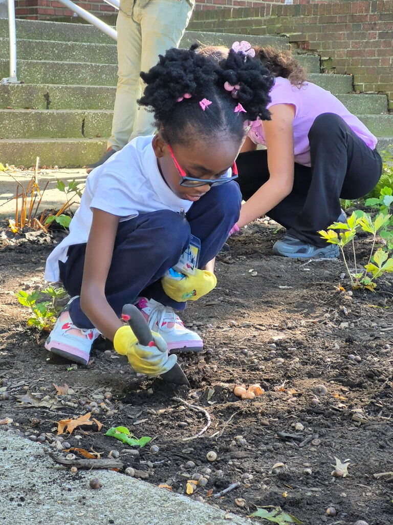 Students planting a garden