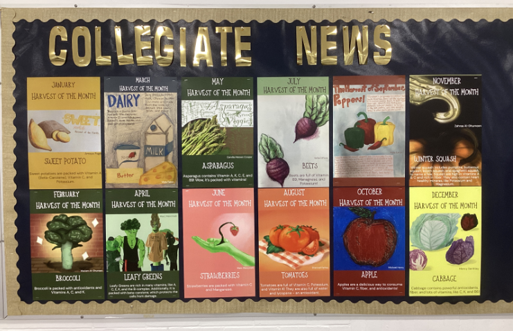 This picture shows the 12 winning Harvest of the Month posters created by Collegiate Academy students