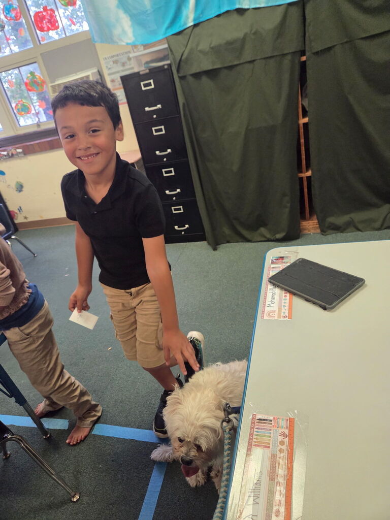 Student petting a therapy dog