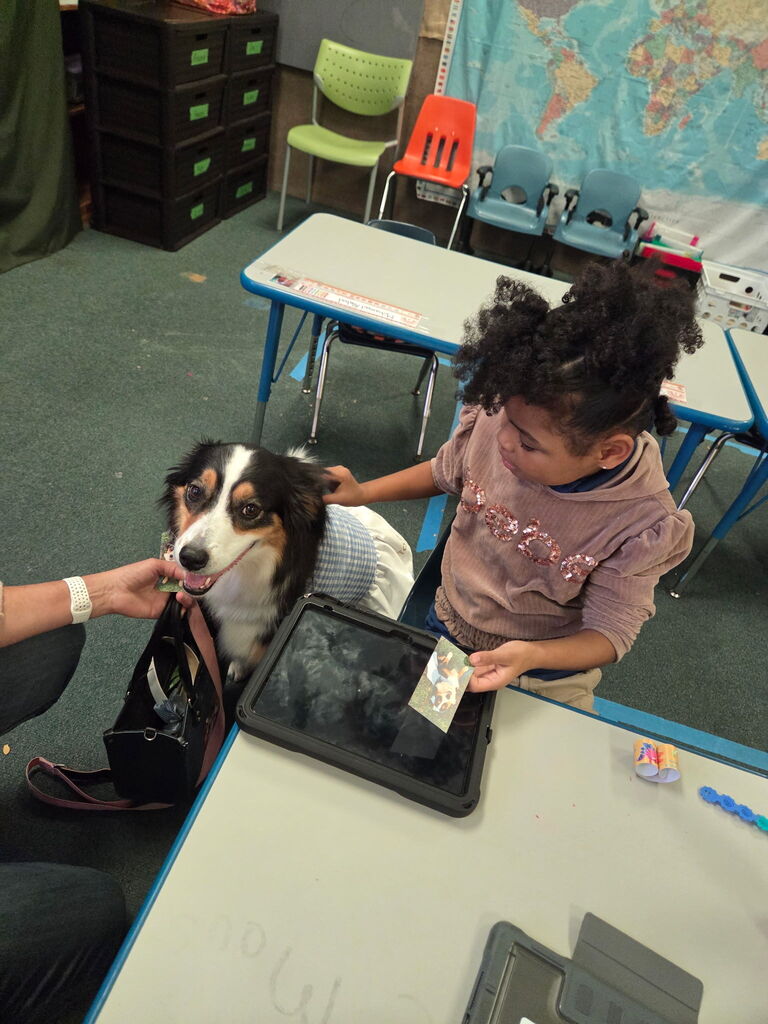 Student petting a therapy dog