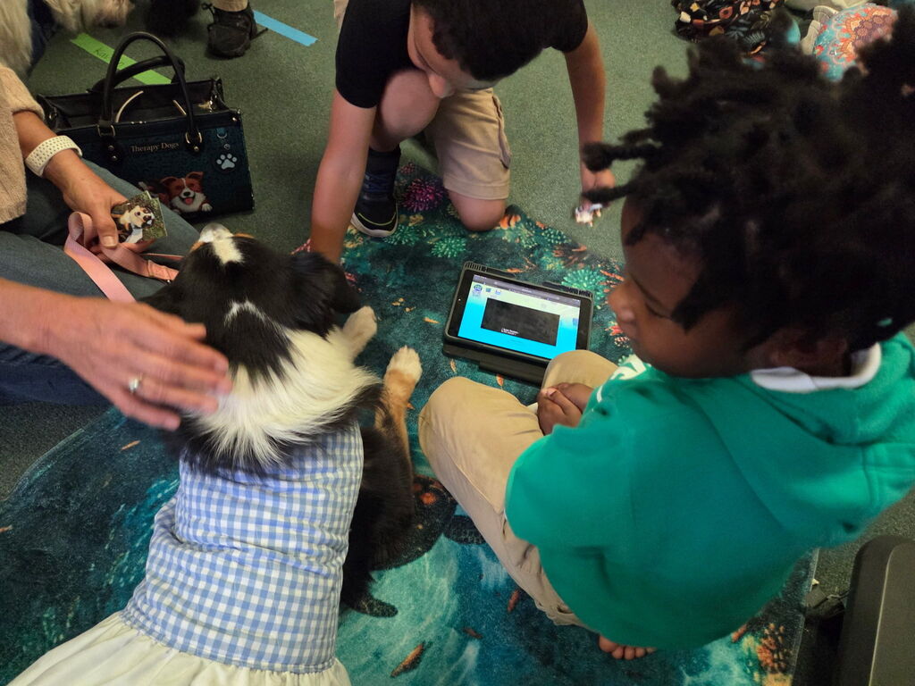 Students petting a therapy dog