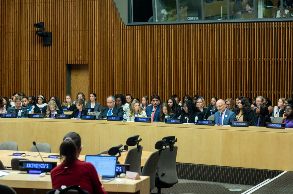 A group of individuals sitting at the United Nations Meeting.