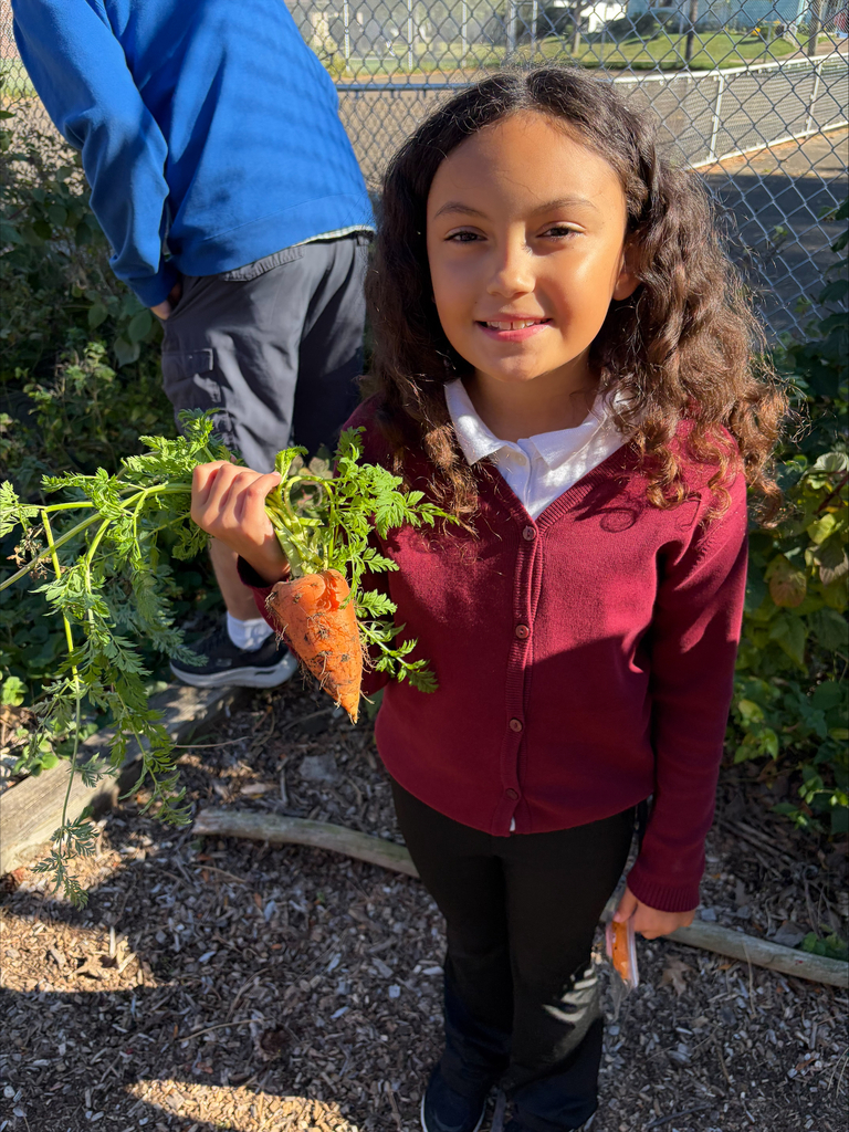 Student holding a carrot she harvested