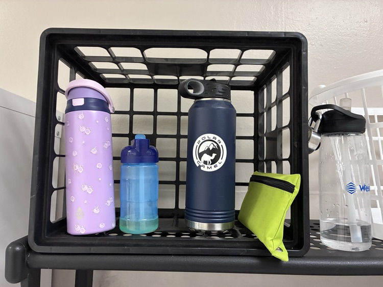 bottles