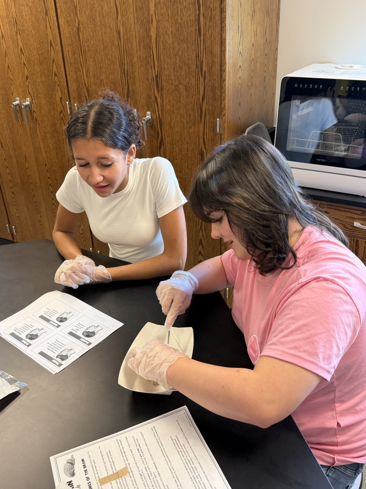forensics students