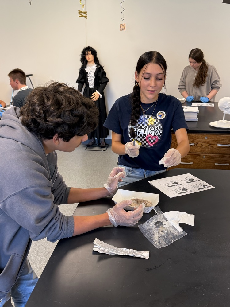 forensics students