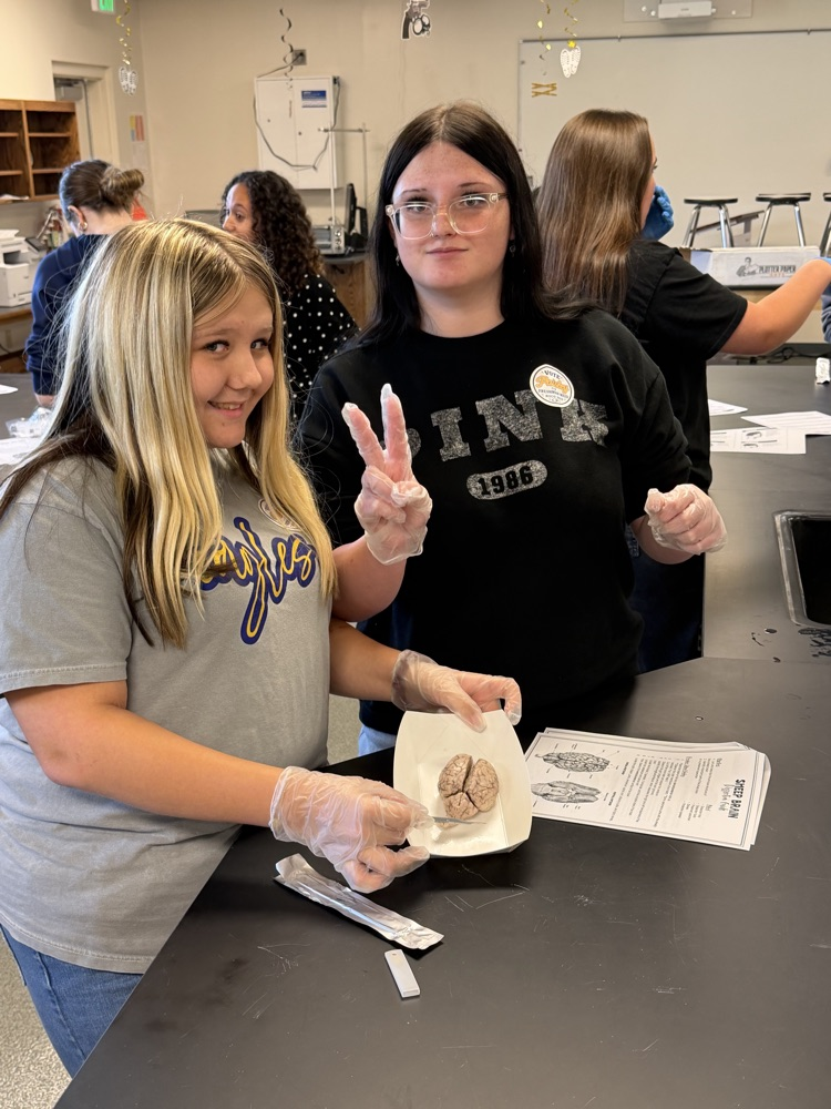 forensics students