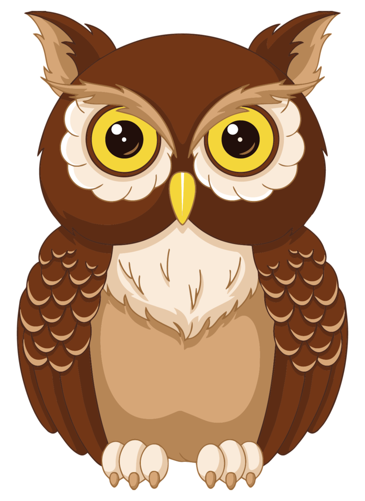 Go Owls!