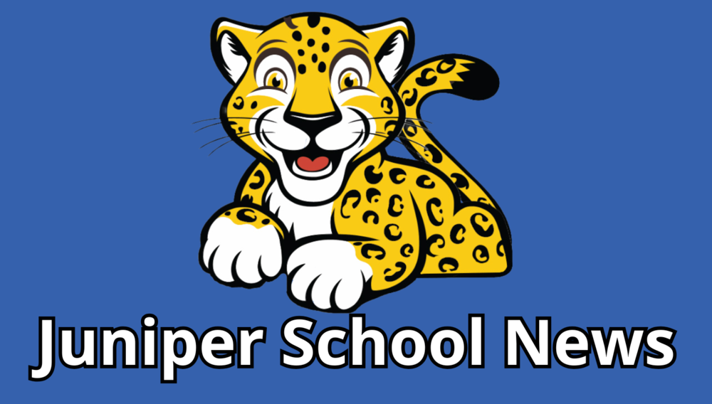 Logo of Juniper Elementary School featuring a cheerful cartoon Jaguar resting on an open book, with bold yellow text reading 'Juniper' and white text below reading 'Elementary School,' set against a blue background.