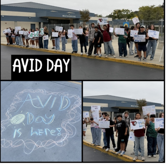 AVID Day photo collage