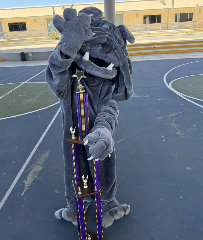 Bulldog with ICAN Trophy