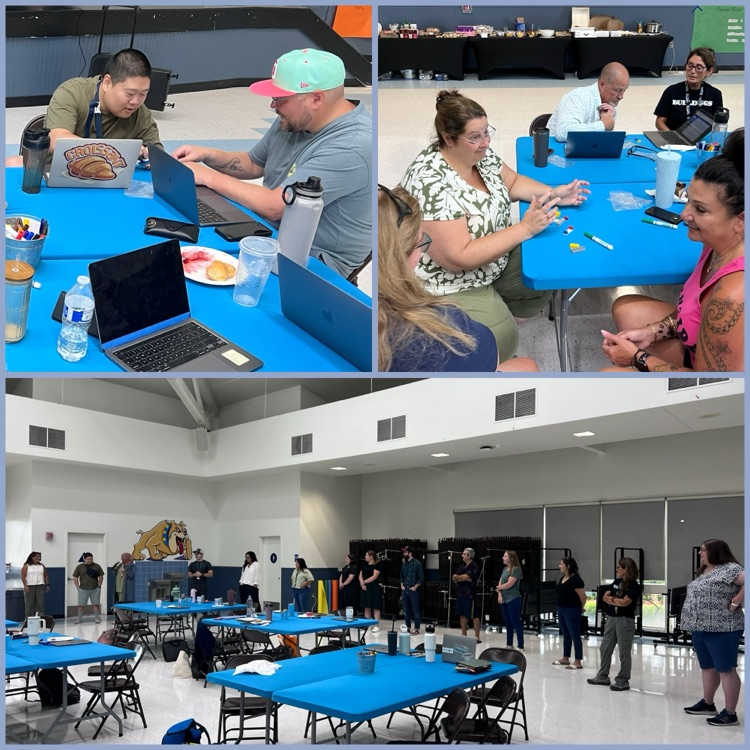 photo collage of engaged teachers