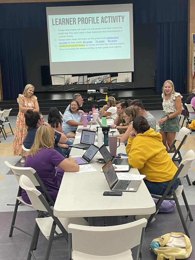 BVMS Staf working together at a recent staff meeting