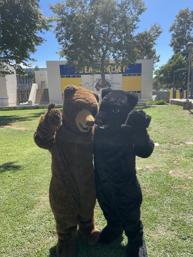 bear mascots standing together