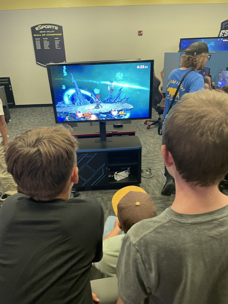 Students playing video games