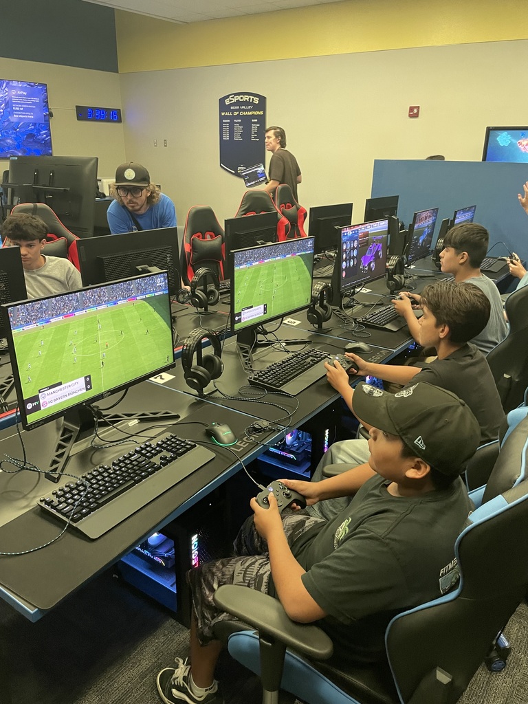Students playing video games