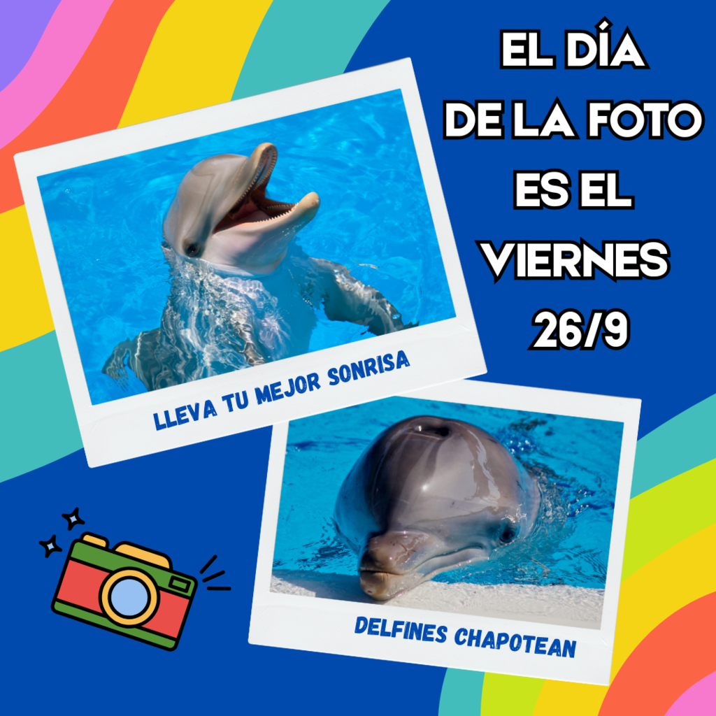 Picture Day Flyer in Spanish