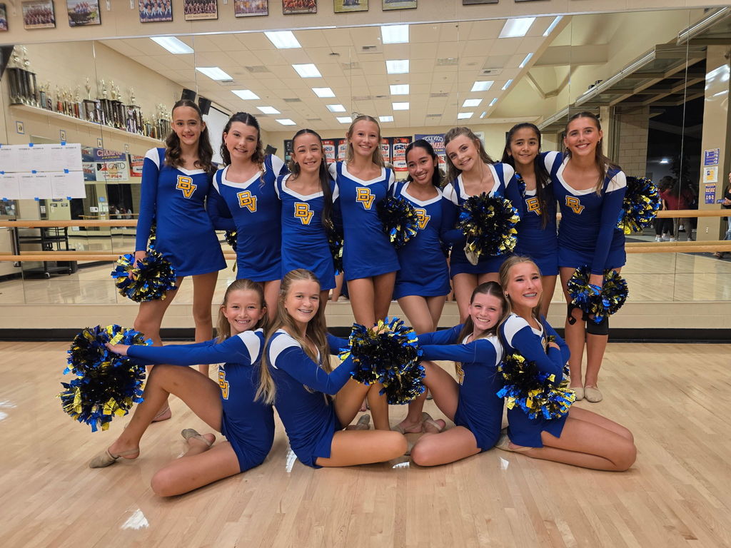 picture of the BVMS dance team