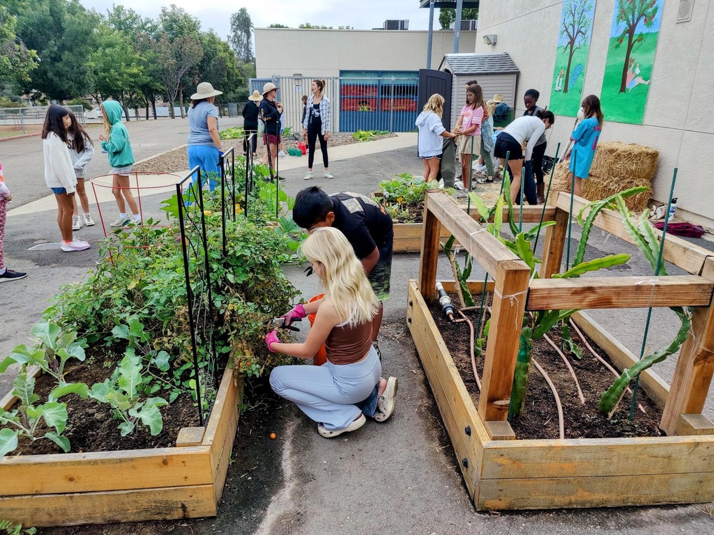 Students & parents gardening