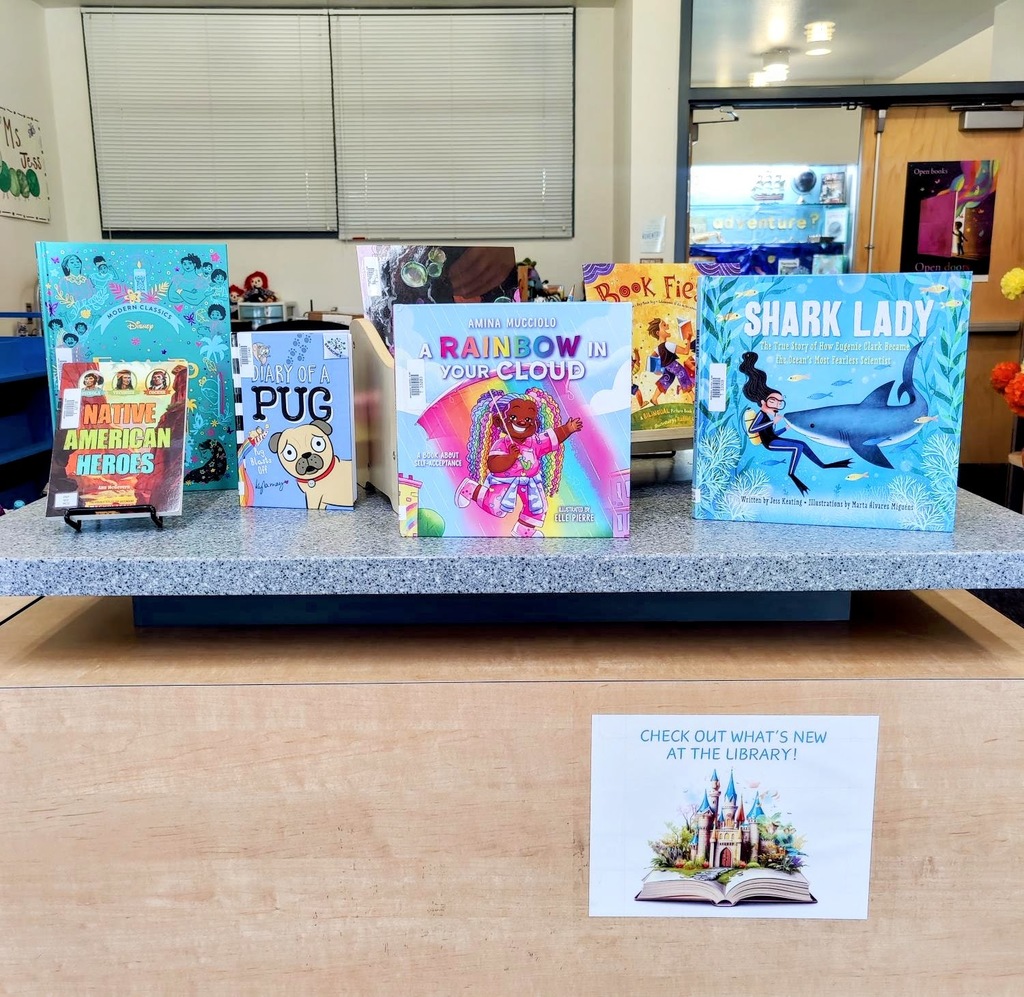 New library books on display over the counter