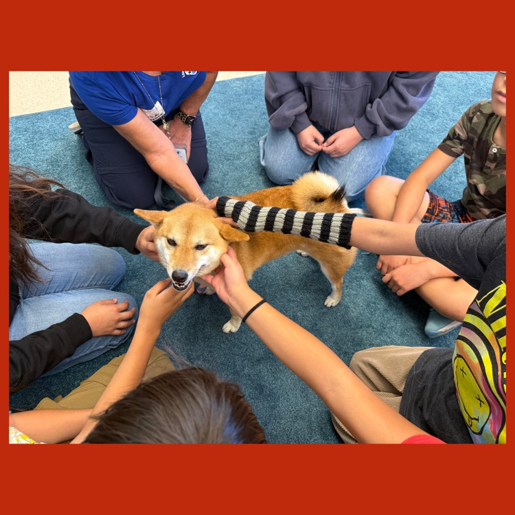 Koa as the center of attention of our students