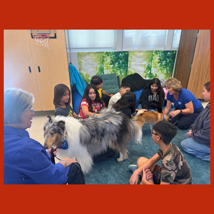 Our Wildcats with Koa and Kory