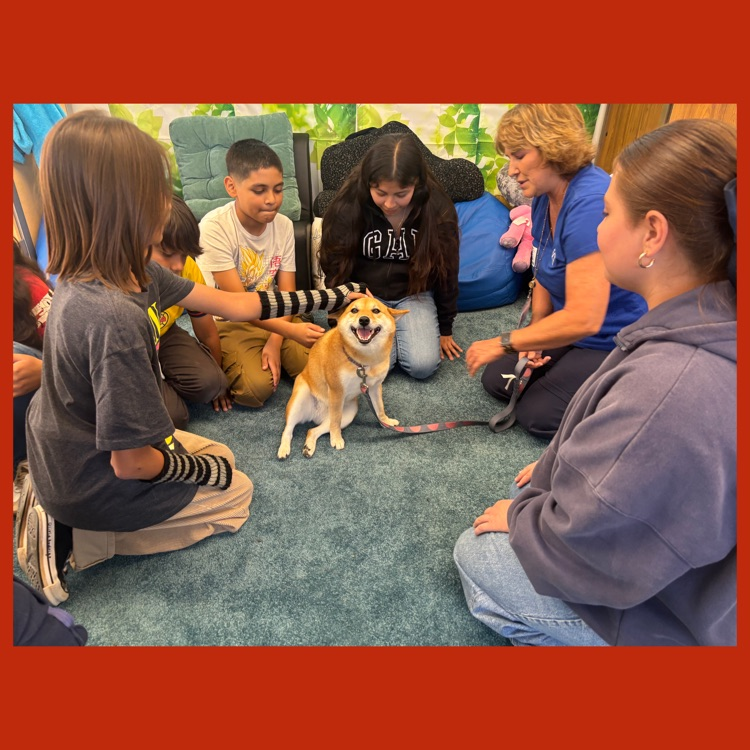 Koa as the center of attention of our students (again)